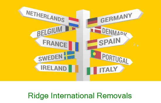 Ridge international removal company